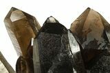 Dark Smoky Quartz Crystal Cluster - Brazil #274485-2